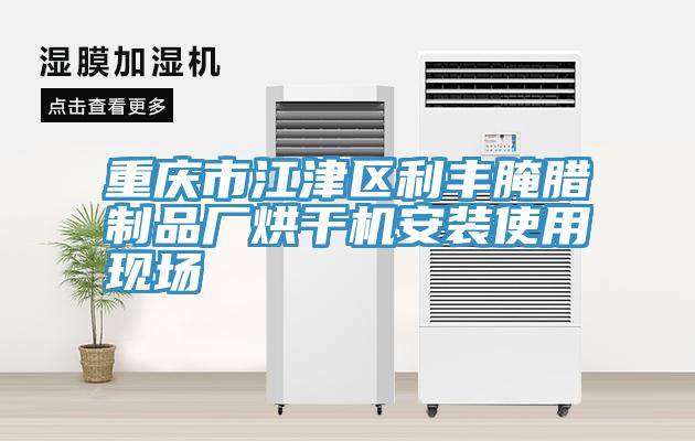 重庆市江津区利丰腌腊制品厂烘干机安装使用现场