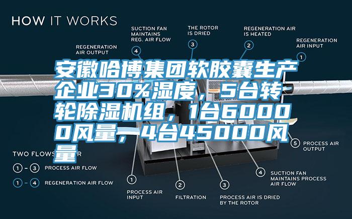 安徽哈博集团软胶囊生产企业30%湿度，5台转轮除湿机组，1台60000风量，4台45000风量