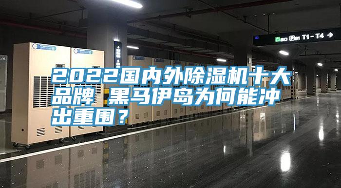 2022国内外除湿机十大品牌 黑马伊岛为何能冲出重围？