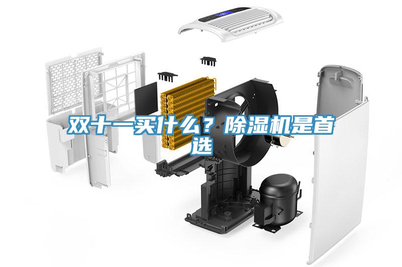 双十一买什么？除湿机是首选