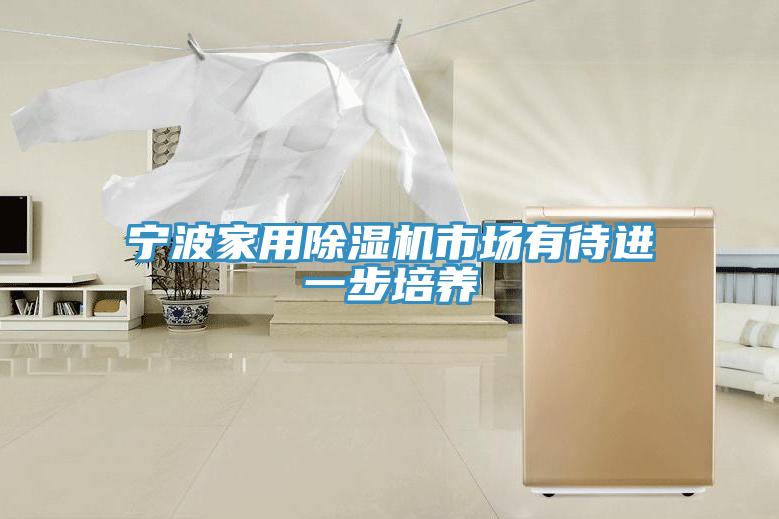 宁波家用除湿机市场有待进一步培养