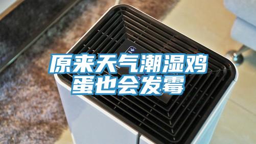 原来天气潮湿鸡蛋也会发霉