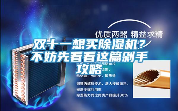 双十一想买除湿机？不妨先看看这篇剁手攻略