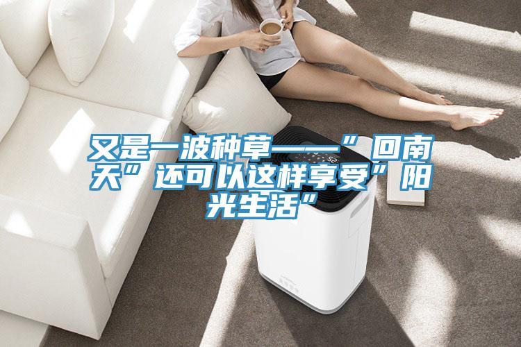 又是一波种草——”回南天”还可以这样享受”阳光生活”