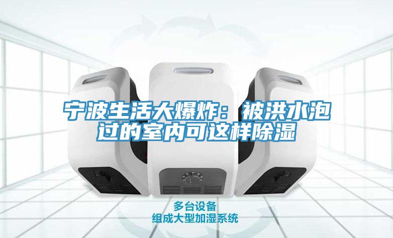 宁波生活大爆炸：被洪水泡过的室内可这样除湿