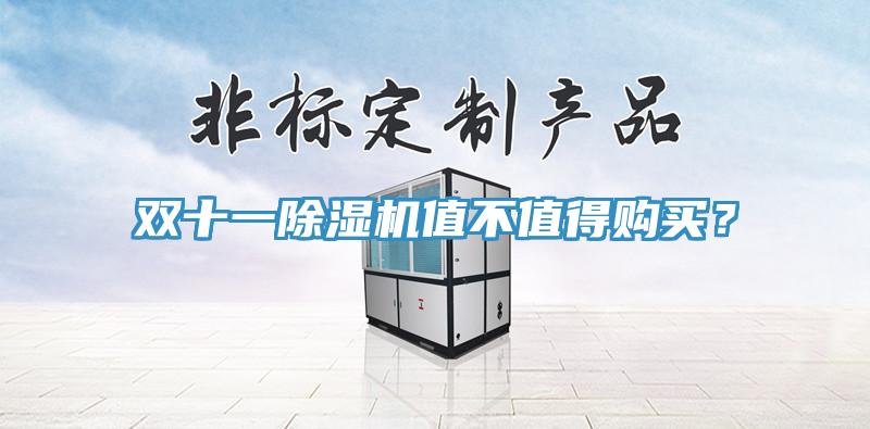 双十一除湿机值不值得购买？