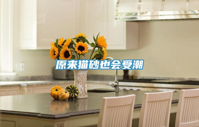 原来猫砂也会受潮