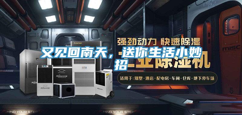 又见回南天，送你生活小妙招