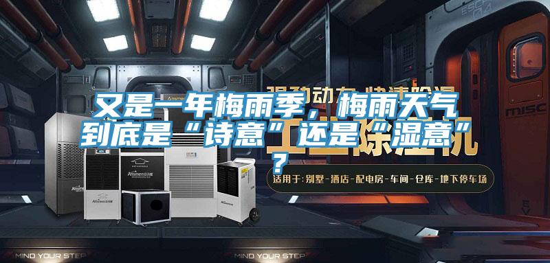 又是一年梅雨季,梅雨天气到底是“诗意”还是“湿意”?