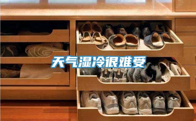 天气湿冷很难受