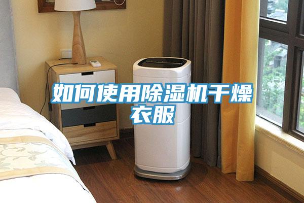 如何使用除湿机干燥衣服
