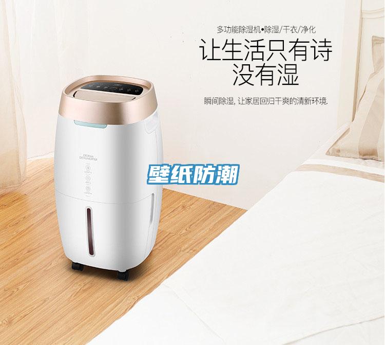 壁纸防潮