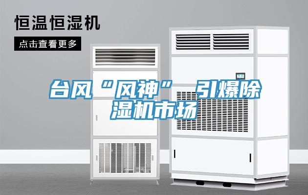 台风“风神” 引爆除湿机市场