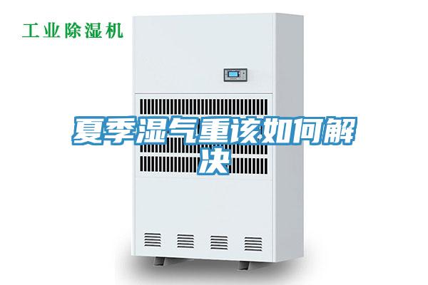 夏季湿气重该如何解决