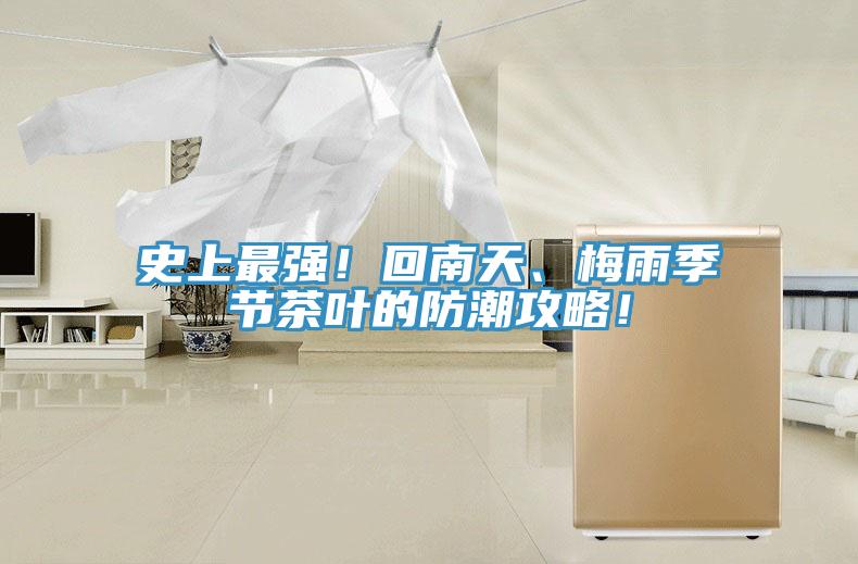 史上最强!回南天、梅雨季节茶叶的防潮攻略!