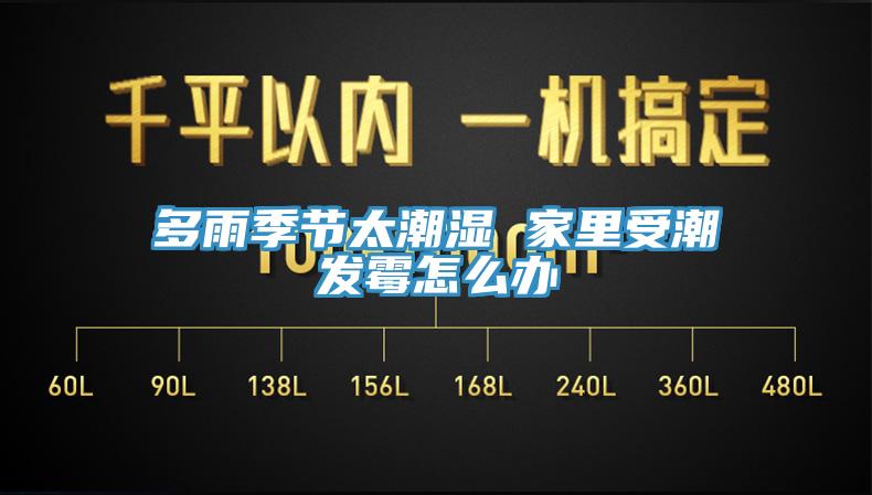 多雨季节太潮湿 家里受潮发霉怎么办