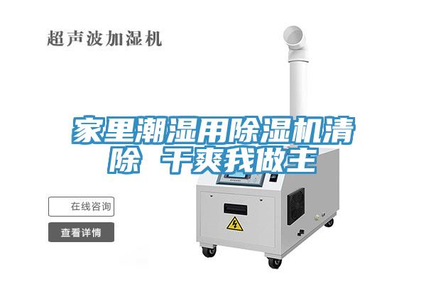 家里潮湿用除湿机清除 干爽我做主