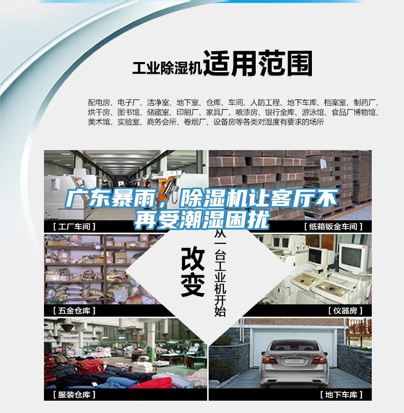 广东暴雨，除湿机让客厅不再受潮湿困扰