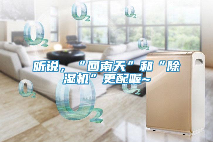 听说，“回南天”和“除湿机”更配喔~