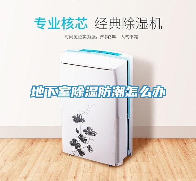 地下室除湿防潮怎么办