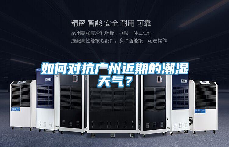 如何对抗广州近期的潮湿天气？