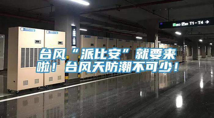 台风“派比安”就要来啦！台风天防潮不可少！