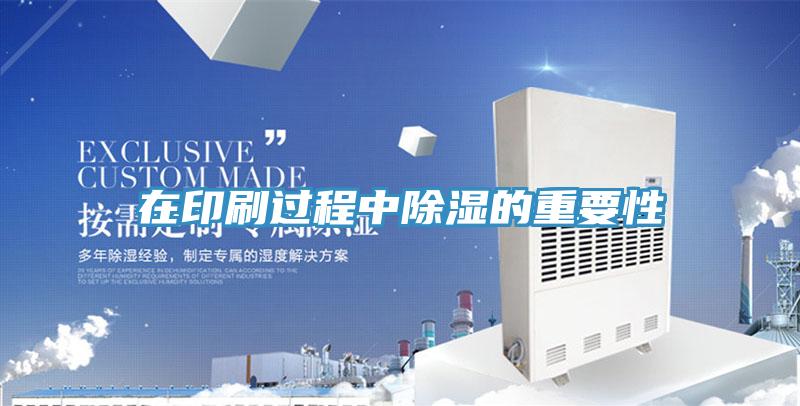 在印刷过程中除湿的重要性