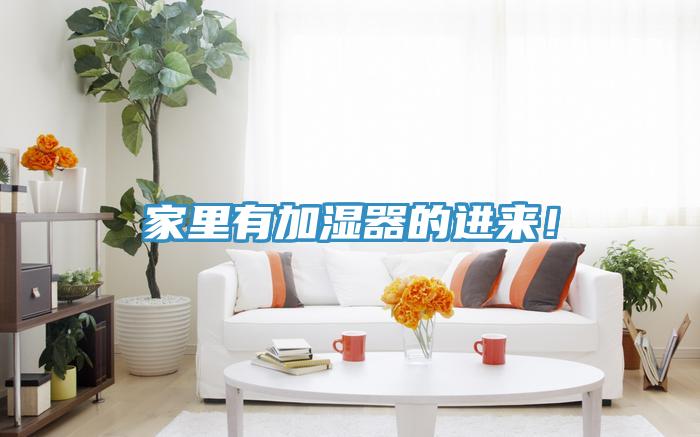 家里有加湿器的进来！