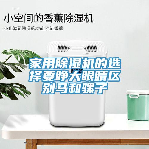 家用除湿机的选择要睁大眼睛区别马和骡子