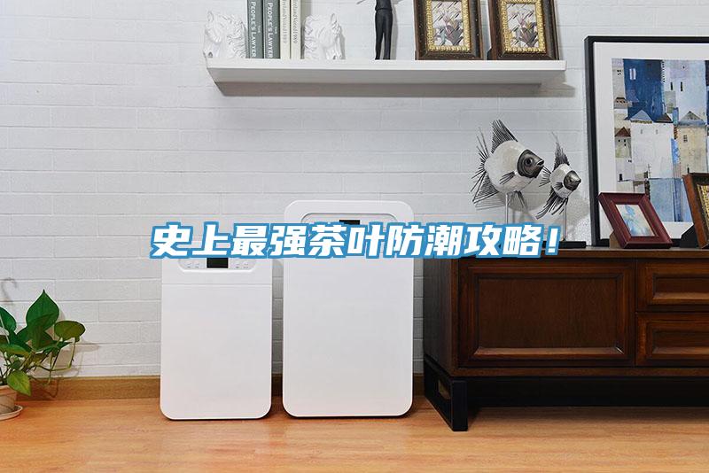 史上最强茶叶防潮攻略！