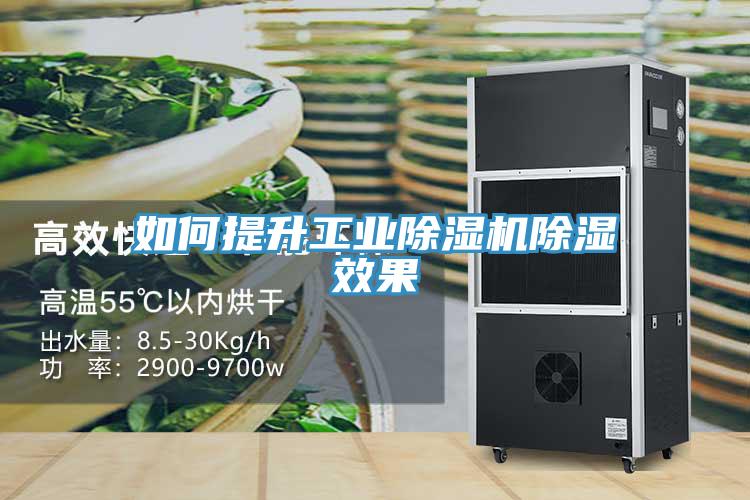 如何提升工业除湿机除湿效果