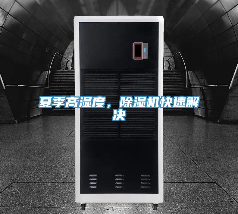 夏季高湿度,除湿机快速解决