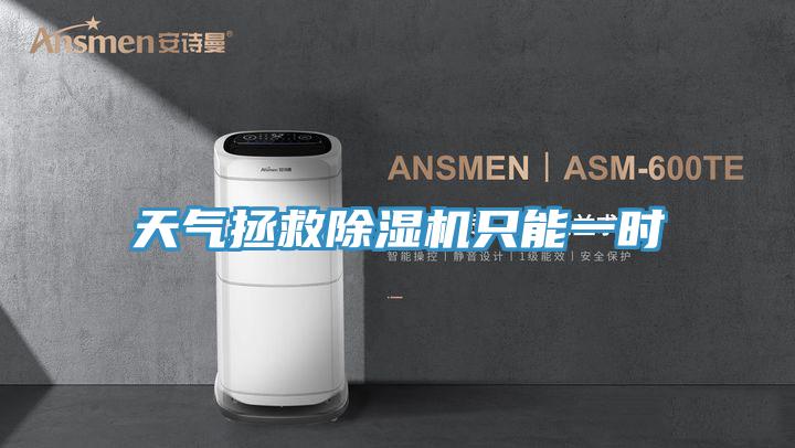 天气拯救除湿机只能一时