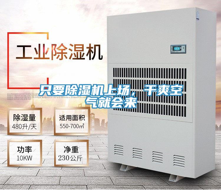 只要除湿机上场,干爽空气就会来