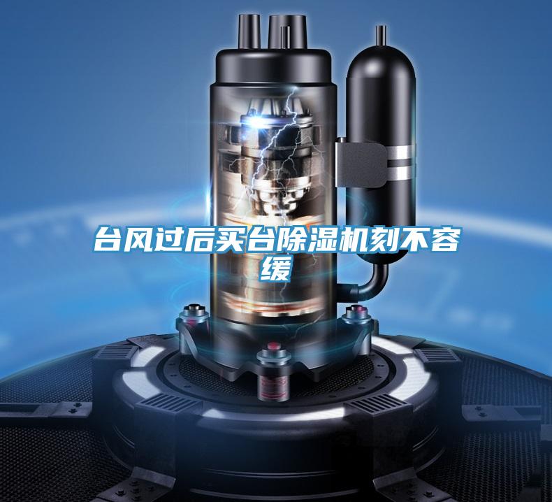 台风过后买台除湿机刻不容缓
