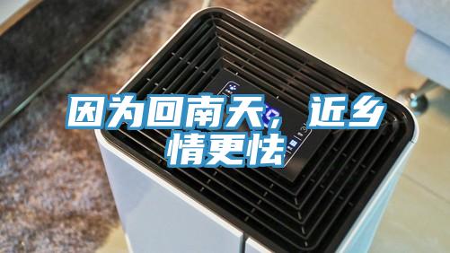 因为回南天，近乡情更怯