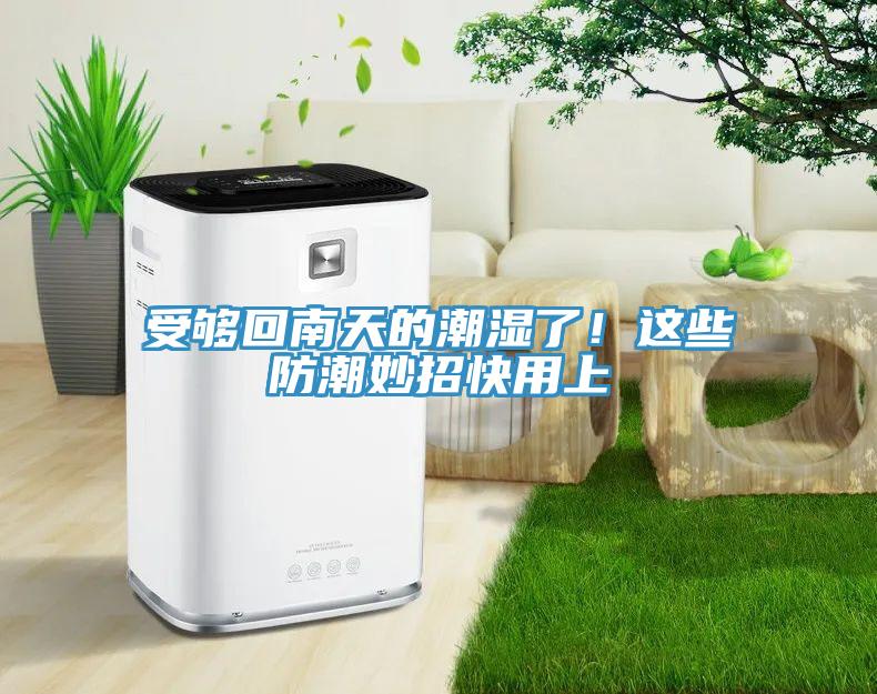 受够回南天的潮湿了！这些防潮妙招快用上