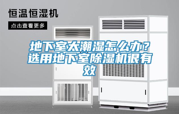 地下室太潮湿怎么办？选用地下室除湿机很有效