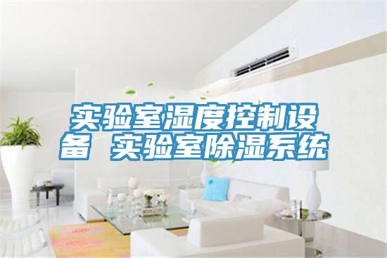 实验室湿度控制设备 实验室除湿系统