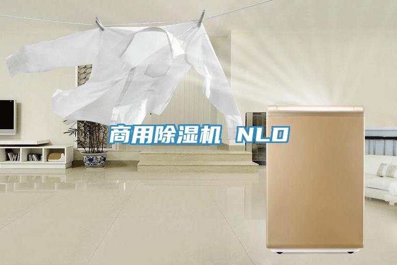 商用除湿机 NLD