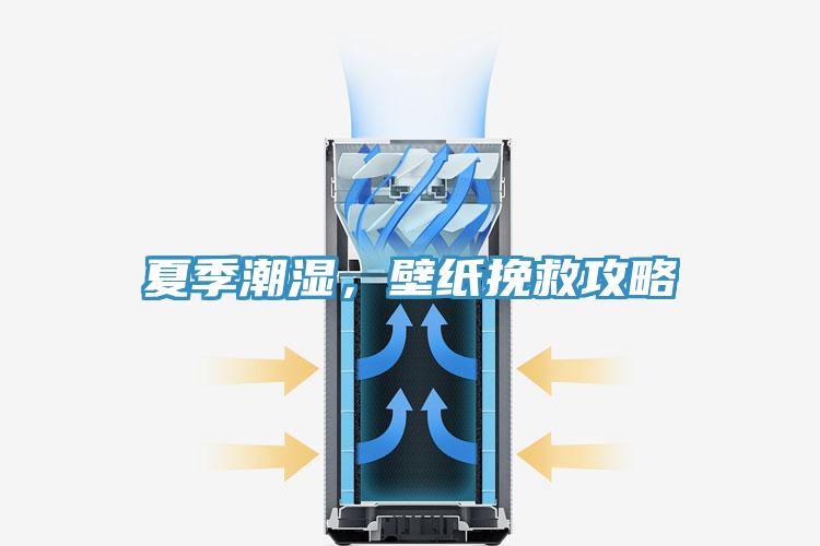 夏季潮湿，壁纸挽救攻略