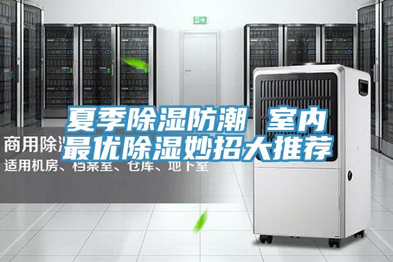 夏季除湿防潮 室内最优除湿妙招大推荐