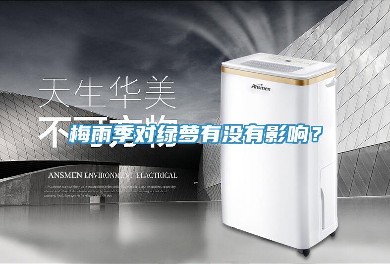 梅雨季对绿萝有没有影响？