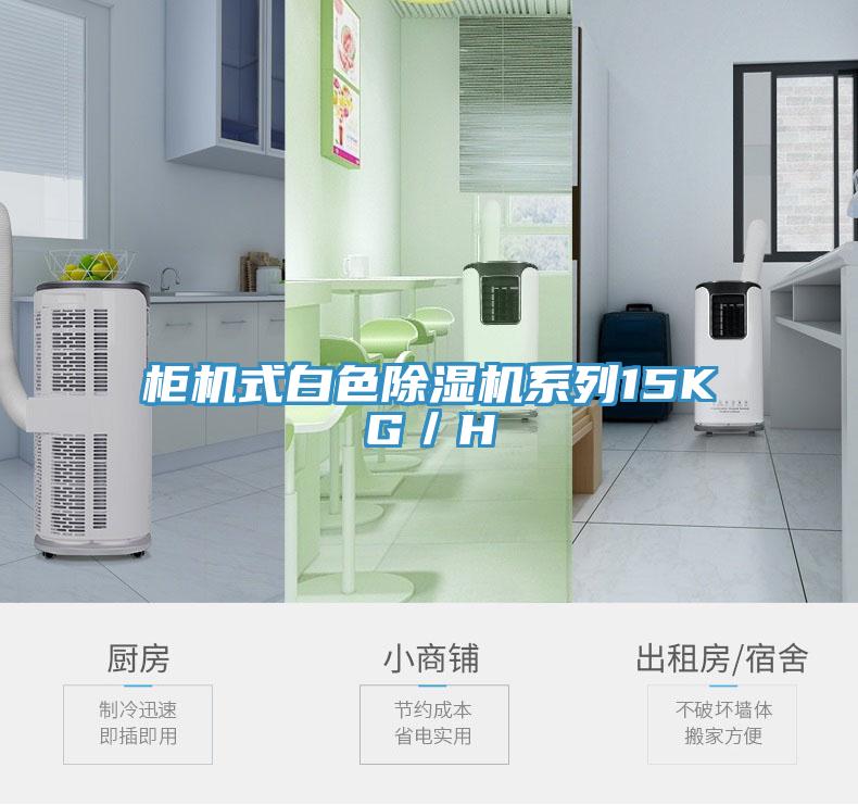 柜机式白色除湿机系列15KG／H