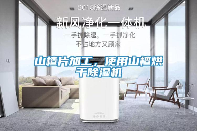 山楂片加工,使用山楂烘干除湿机