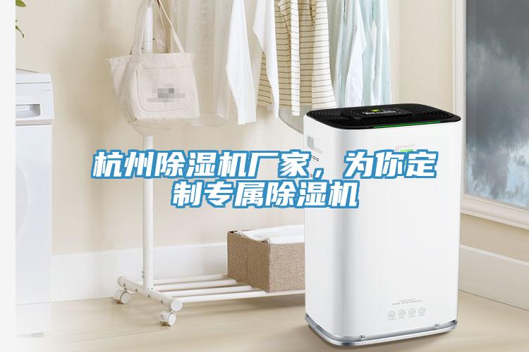 杭州除湿机厂家，为你定制专属除湿机