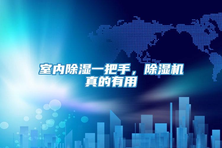 室内除湿一把手,除湿机真的有用