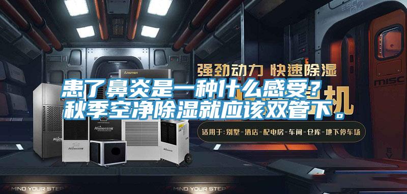 患了鼻炎是一种什么感受? 秋季空净除湿就应该双管下。