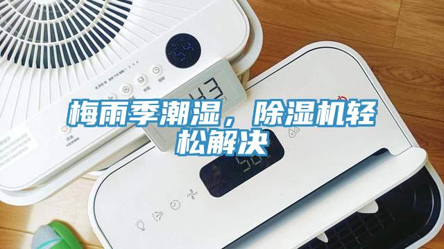 梅雨季潮湿，除湿机轻松解决