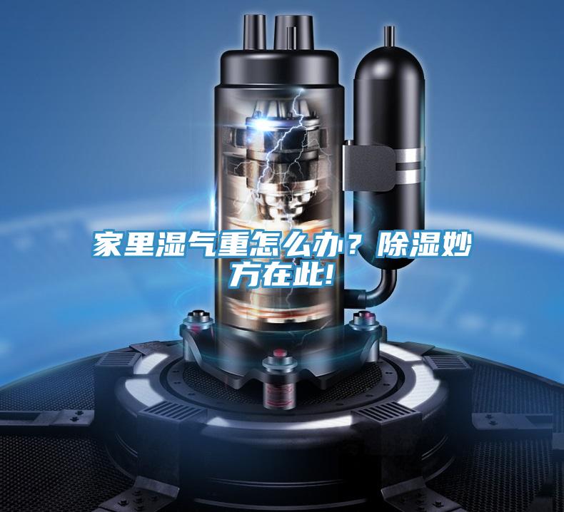 家里湿气重怎么办？除湿妙方在此!